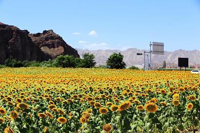 《我的世界》1.18版本正式上线 洞穴&悬崖更新第二部分