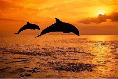 《战神：诸神黄昏》新战斗机制 像回旋斧一样有惊喜